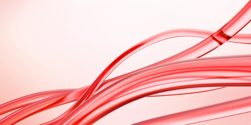 そもそも循環器内科とは